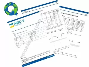 WISC V RECARGA 25 PERFILES ON LINE